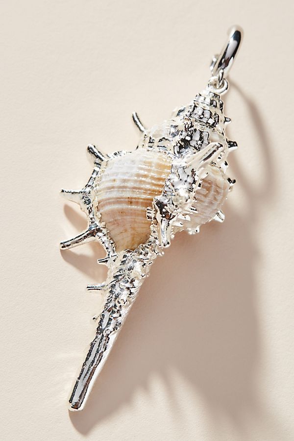 Spikey conch silver border 2 Pcs