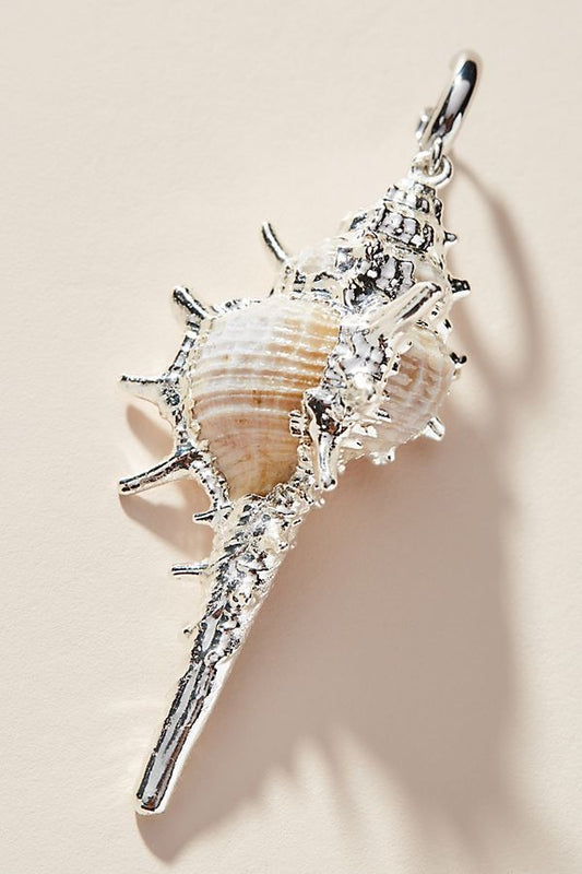 Spikey conch silver border 2 Pcs