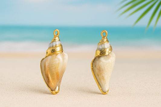 Shellll 2 pcs