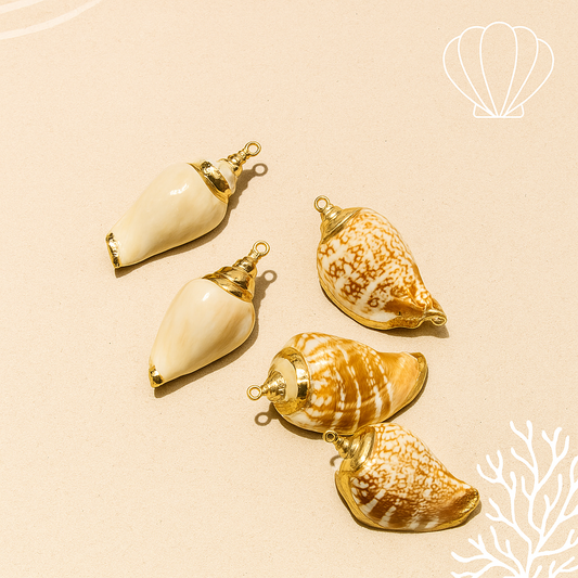 Conch gold border