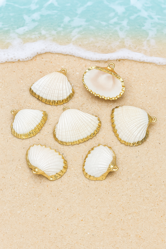 Shells golden border