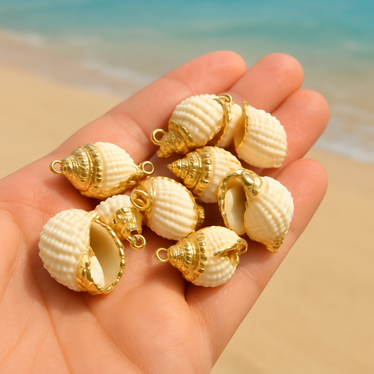 cowrie